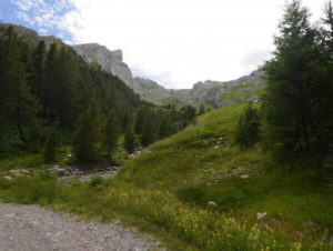 Sentier-de-randonnée-la-Foux-dAllos