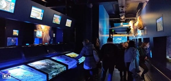 aquarium musee oceanographique de monaco tarif min