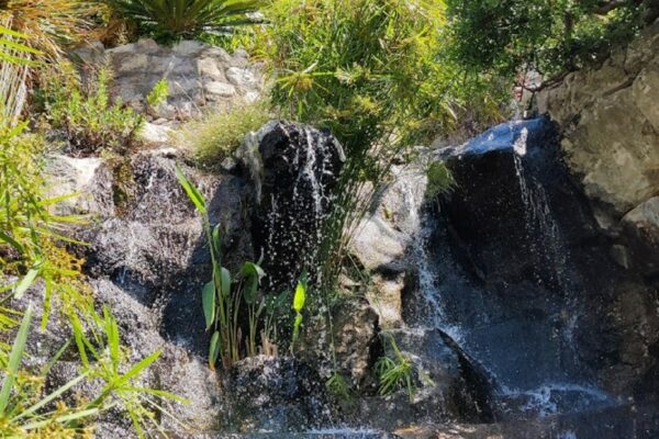 Cascade-jardin-exotique-eze-min cascade jardin exotique eze min
