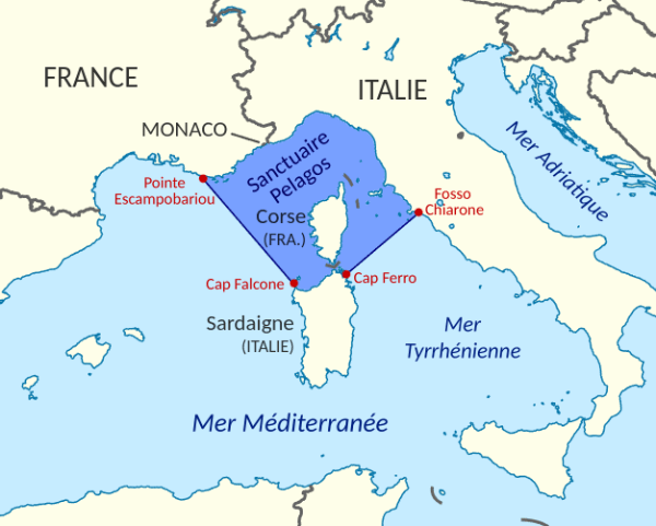 conférence de l'onu sur l'océan nice 2025 carte sanctuaire pelagos